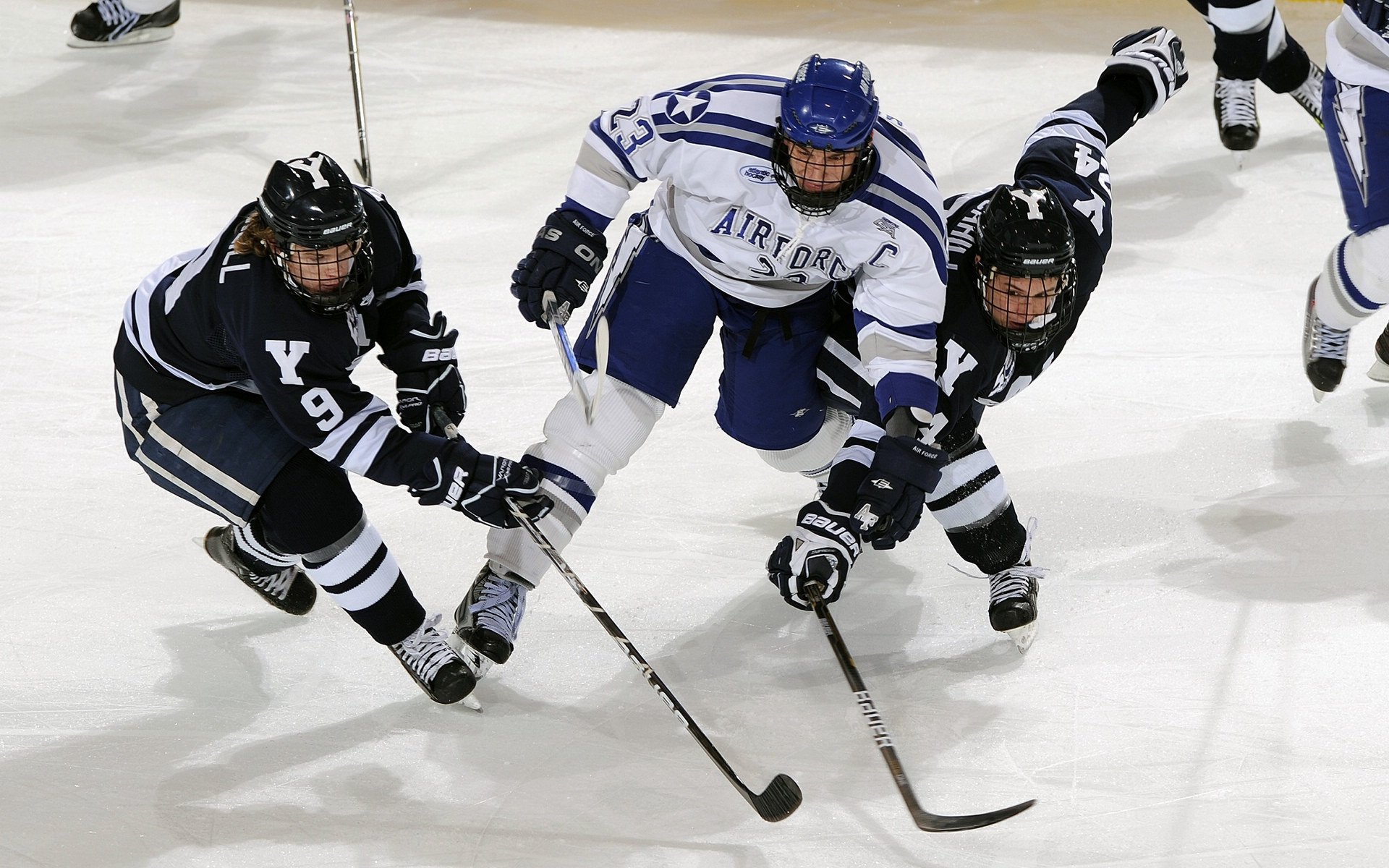 厄德高锁死非洲雄狮，当北欧精灵在澳洲烈日下起舞