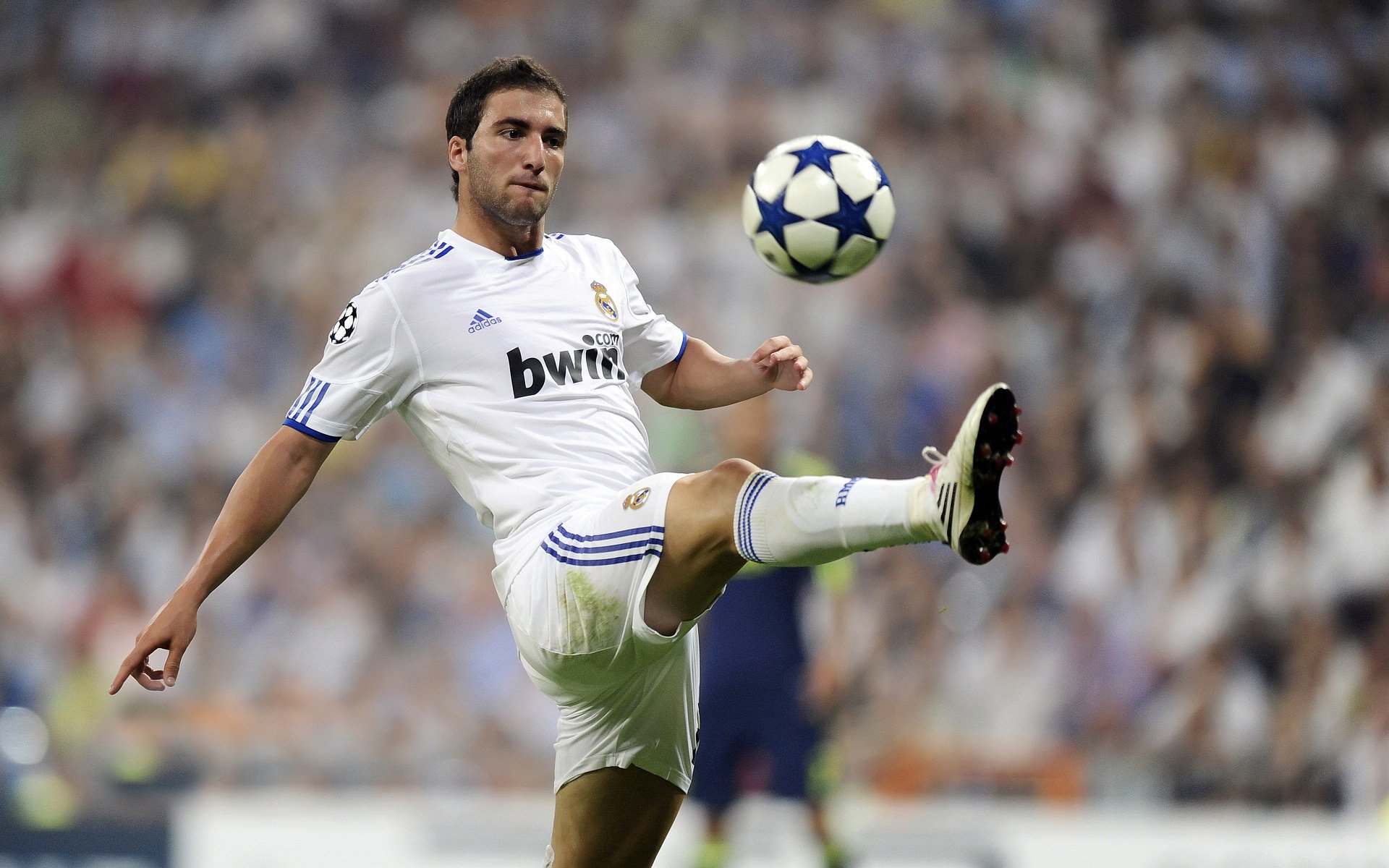 范戴克刷新纪录，拜仁速胜几内亚，双线战场上的胜利交响